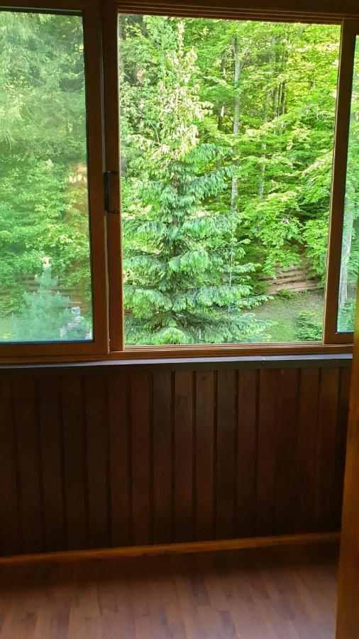 Green View Sinaia Zewnętrze zdjęcie